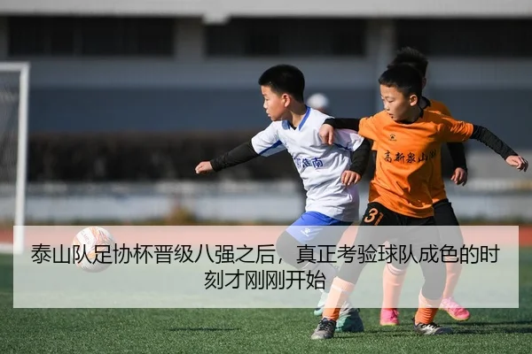 img_1780498061471_62_2_568.jpg